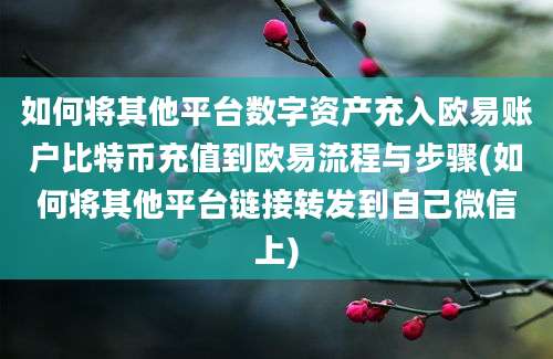 如何将其他平台数字资产充入欧易账户比特币充值到欧易流程与步骤(如何将其他平台链接转发到自己微信上)