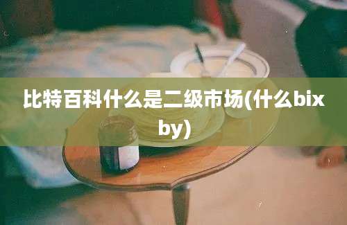 比特百科什么是二级市场(什么bixby)