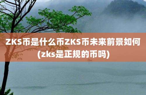 ZKS币是什么币ZKS币未来前景如何(zks是正规的币吗)