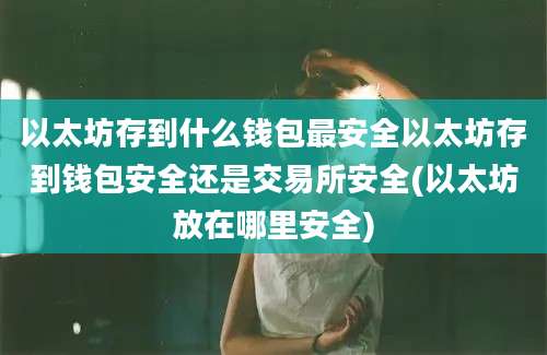 以太坊存到什么钱包最安全以太坊存到钱包安全还是交易所安全(以太坊放在哪里安全)