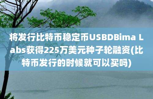 将发行比特币稳定币USBDBima Labs获得225万美元种子轮融资(比特币发行的时候就可以买吗)