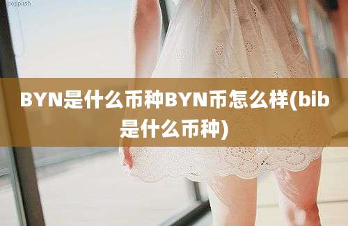 BYN是什么币种BYN币怎么样(bib是什么币种)