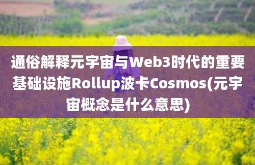 通俗解释元宇宙与Web3时代的重要基础设施Rollup波卡Cosmos(元宇宙概念是什么意思)