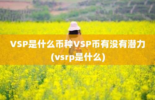 VSP是什么币种VSP币有没有潜力(vsrp是什么)