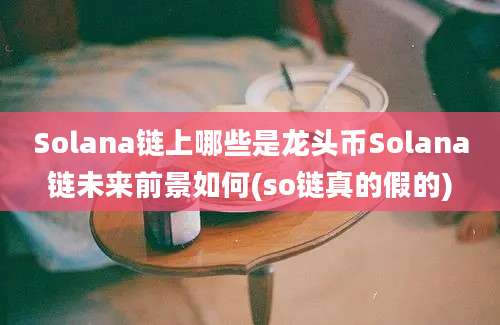 Solana链上哪些是龙头币Solana链未来前景如何(so链真的假的)