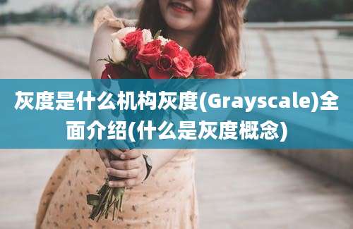 灰度是什么机构灰度(Grayscale)全面介绍(什么是灰度概念)