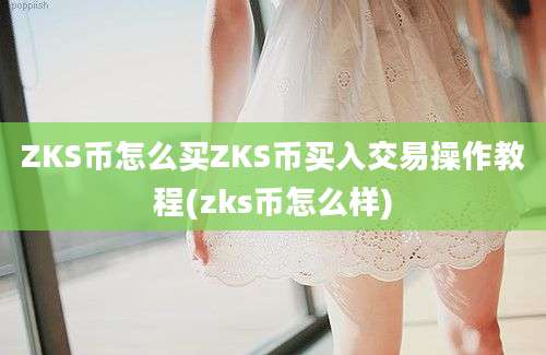 ZKS币怎么买ZKS币买入交易操作教程(zks币怎么样)