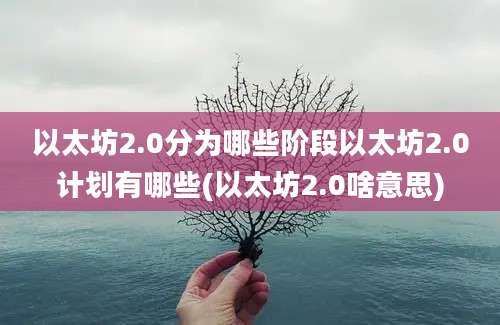 以太坊2.0分为哪些阶段以太坊2.0计划有哪些(以太坊2.0啥意思)