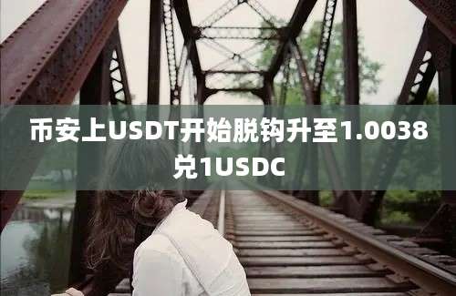 币安上USDT开始脱钩升至1.0038兑1USDC