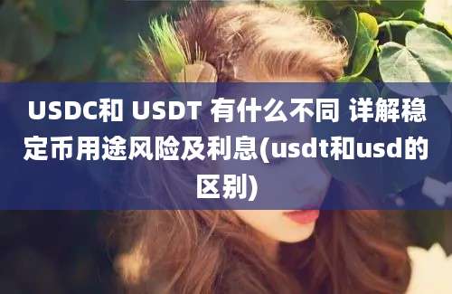 USDC和 USDT 有什么不同 详解稳定币用途风险及利息(usdt和usd的区别)