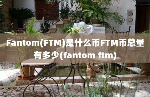 Fantom(FTM)是什么币FTM币总量有多少(fantom ftm)