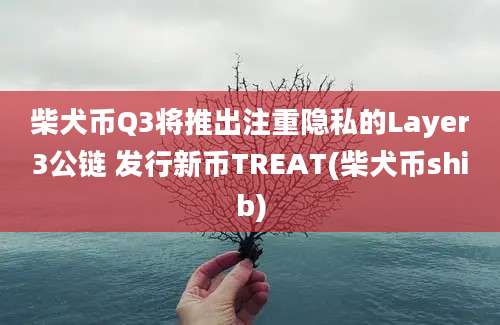 柴犬币Q3将推出注重隐私的Layer3公链 发行新币TREAT(柴犬币shib)