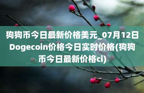 狗狗币今日最新价格美元_07月12日Dogecoin价格今日实时价格(狗狗币今日最新价格ci)