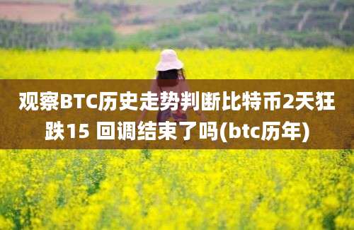 观察BTC历史走势判断比特币2天狂跌15 回调结束了吗(btc历年)