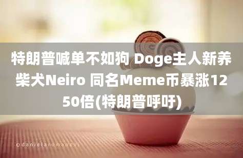 特朗普喊单不如狗 Doge主人新养柴犬Neiro 同名Meme币暴涨1250倍(特朗普呼吁)