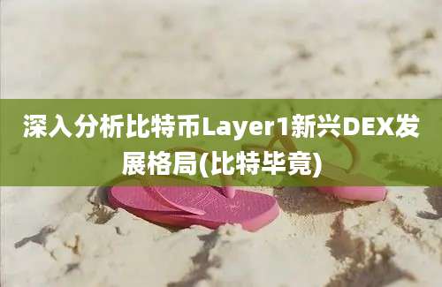 深入分析比特币Layer1新兴DEX发展格局(比特毕竟)