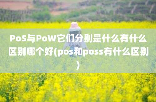 PoS与PoW它们分别是什么有什么区别哪个好(pos和poss有什么区别)