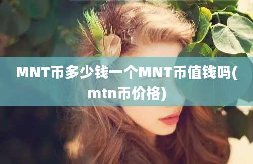 MNT币多少钱一个MNT币值钱吗(mtn币价格)