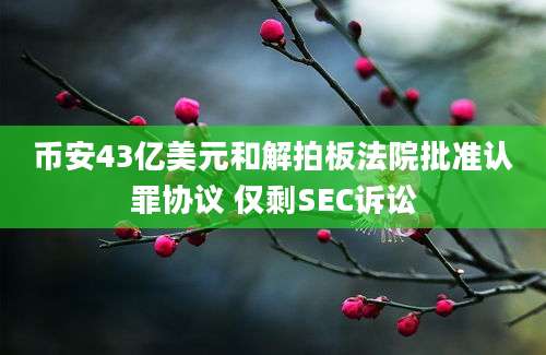 币安43亿美元和解拍板法院批准认罪协议 仅剩SEC诉讼