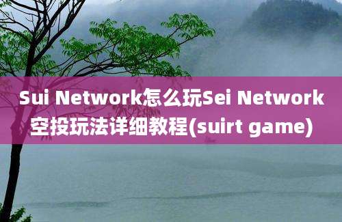 Sui Network怎么玩Sei Network空投玩法详细教程(suirt game)