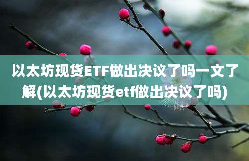 以太坊现货ETF做出决议了吗一文了解(以太坊现货etf做出决议了吗)