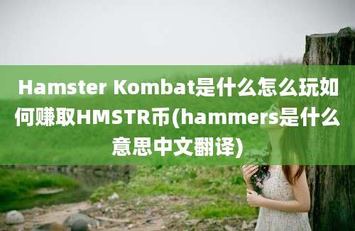 Hamster Kombat是什么怎么玩如何赚取HMSTR币(hammers是什么意思中文翻译)