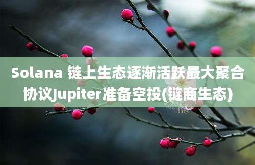 Solana 链上生态逐渐活跃最大聚合协议Jupiter准备空投(链商生态)