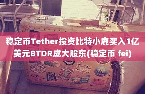 稳定币Tether投资比特小鹿买入1亿美元BTDR成大股东(稳定币 fei)