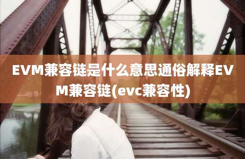 EVM兼容链是什么意思通俗解释EVM兼容链(evc兼容性)