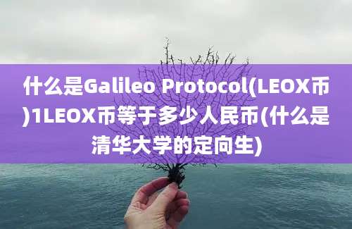 什么是Galileo Protocol(LEOX币)1LEOX币等于多少人民币(什么是清华大学的定向生)