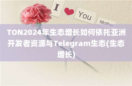 TON2024年生态增长如何依托亚洲开发者资源与Telegram生态(生态增长)