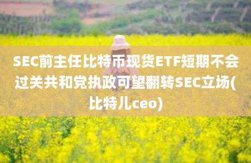 SEC前主任比特币现货ETF短期不会过关共和党执政可望翻转SEC立场(比特儿ceo)