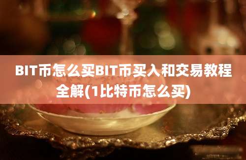 BIT币怎么买BIT币买入和交易教程全解(1比特币怎么买)