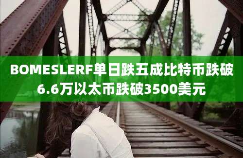 BOMESLERF单日跌五成比特币跌破6.6万以太币跌破3500美元