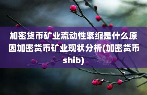 加密货币矿业流动性紧缩是什么原因加密货币矿业现状分析(加密货币shib)