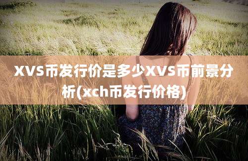 XVS币发行价是多少XVS币前景分析(xch币发行价格)