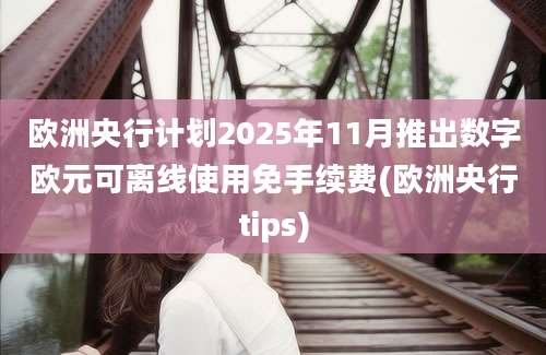 欧洲央行计划2025年11月推出数字欧元可离线使用免手续费(欧洲央行tips)