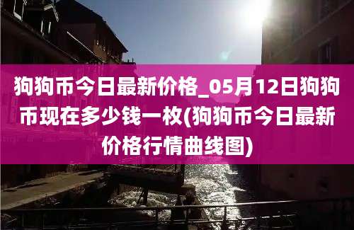 狗狗币今日最新价格_05月12日狗狗币现在多少钱一枚(狗狗币今日最新价格行情曲线图)