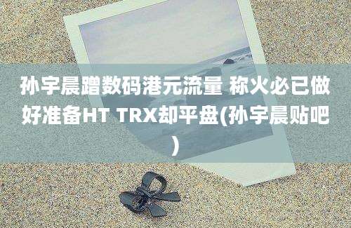 孙宇晨蹭数码港元流量 称火必已做好准备HT TRX却平盘(孙宇晨贴吧)