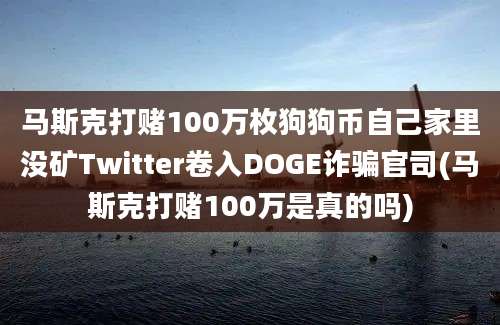 马斯克打赌100万枚狗狗币自己家里没矿Twitter卷入DOGE诈骗官司(马斯克打赌100万是真的吗)