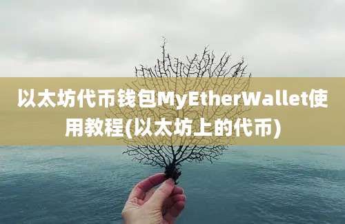 以太坊代币钱包MyEtherWallet使用教程(以太坊上的代币)