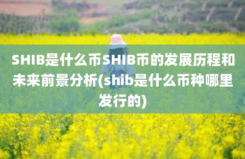 SHIB是什么币SHIB币的发展历程和未来前景分析(shib是什么币种哪里发行的)