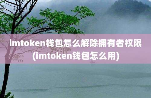 imtoken钱包怎么解除拥有者权限(imtoken钱包怎么用)