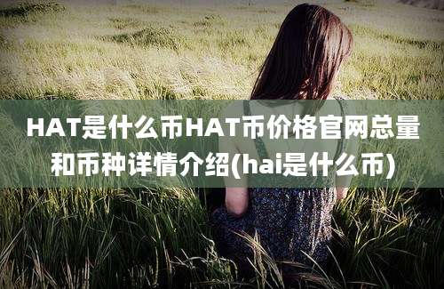 HAT是什么币HAT币价格官网总量和币种详情介绍(hai是什么币)