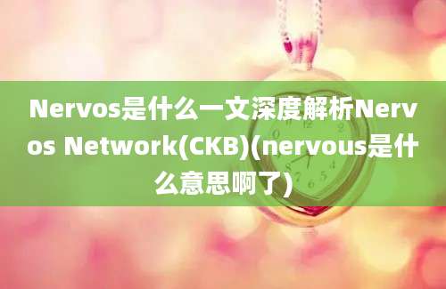 Nervos是什么一文深度解析Nervos Network(CKB)(nervous是什么意思啊了)