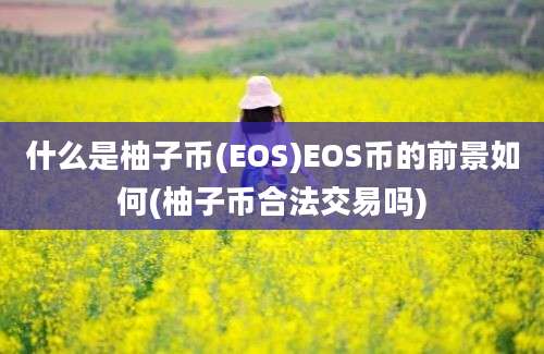 什么是柚子币(EOS)EOS币的前景如何(柚子币合法交易吗)