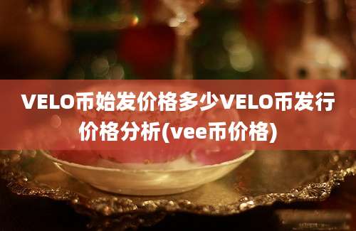 VELO币始发价格多少VELO币发行价格分析(vee币价格)