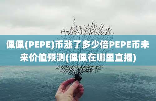 佩佩(PEPE)币涨了多少倍PEPE币未来价值预测(佩佩在哪里直播)