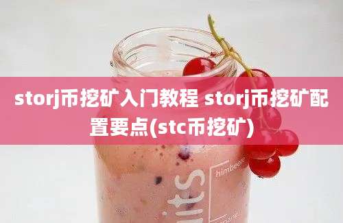 storj币挖矿入门教程 storj币挖矿配置要点(stc币挖矿)