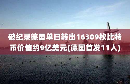 破纪录德国单日转出16309枚比特币价值约9亿美元(德国首发11人)